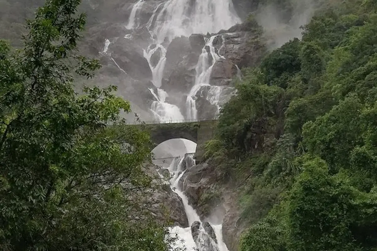 Dudhsagar Waterfalls Trek